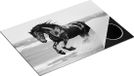 Chefcare Inductie Beschermer Zwart Paard in het Water - 75x50 cm