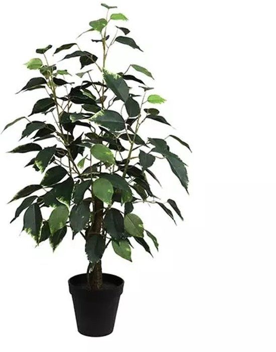 Buitengewoon Boet Buitengewoon de Boet Ficus Bonsai Donkergroen 60 cm kunstplant