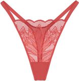 Triumph String Red Label Crazy Stupid Love