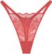 Triumph String Red Label Crazy Stupid Love