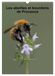 Les Calvendo Les abeilles et bourdons de Provence (Calendrier mural 2027 DIN A3 horizontal), CALVENDO calendrier mensuel