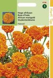 Hortitops Zaden - Tagetes Erecta Hawaii Fl.Pl. Oranje