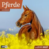 Pferde Ackermann Kunstverlag Pferde Kalender 2027 - 30x30 - Art12