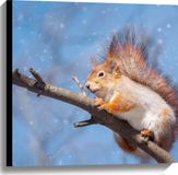 Merkloos / Sans marque Take your time Canvas - Rode Eekhoorn Zittend op Smalle Tak in Sneeuwbui - 60x60 cm Foto op Canvas Schilderij (Wanddecoratie op Canvas)