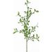 Troène Artificiel En Branche H 105 cm Avec 113 Feuilles Tissu