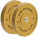 Body Revolution disque d'haltérophilie olympique 15kg (x2)