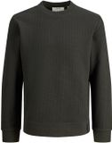 Jack & Jones Trui Jcofusion Waffle Brand Sweat Crew N 12300438 Peat Mannen Maat - M