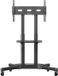 ONK কিছুর TS1351-B noir
