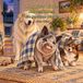 Hoggle's Little Adventures: The Bedtime Mix-up
