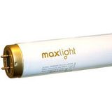 MAXLIGHT 80W HIGH INTENSIVE