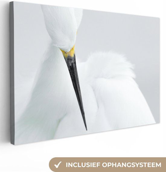 OneMillionCanvasses Canvas Schilderij - Reiger - 60x40 cm - Foto op Canvas