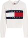 Tommy Hilfiger Tommy Jeans Gebreide Trui Katoen Herfst/Winter XL