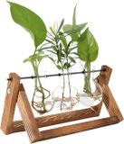 Merkloos Plantenpropagatiestation met houten standaard, retro glazen bolvaasjes en hydrocultuurvazen