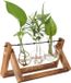 Merkloos Plantenpropagatiestation met houten standaard, retro glazen bolvaasjes en hydrocultuurvazen