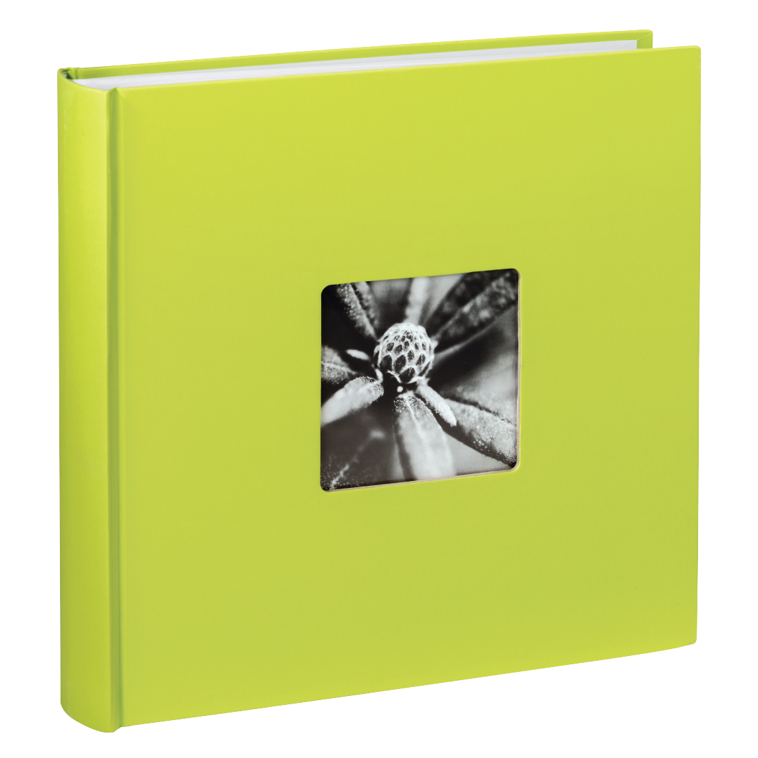 Hama Fine Art - Fotoalbum - 30x30 cm - groen