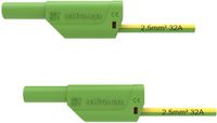 Schützinger Câble de mesure de sécurité 100 cm Vert-jaune 1 pièce(s)