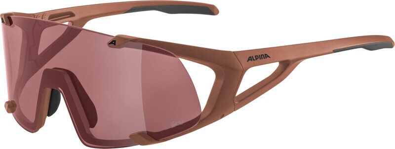 Alpina Hawkeye Q-Lite Glasses, zwart