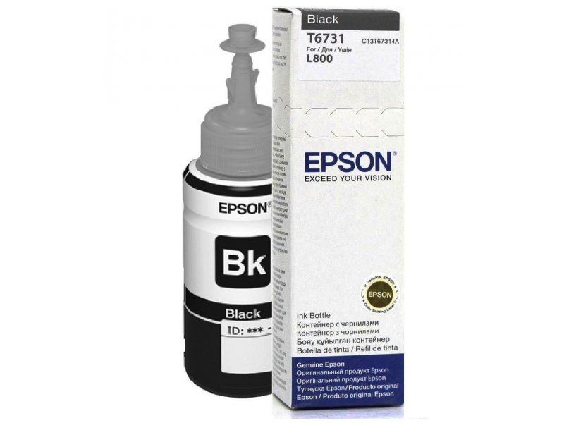 Epson T6731 - Inktcartridge - Foto Zwart - 70 ml