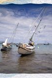 Sailing with the Tides: A Sailor's Guide to Navigating the Waters