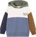 Vertbaudet Sweater met colorblock en capuchon Basics jongens