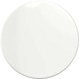 vidaXL Tafelblad Hoogglans Wit 80 cm Rond