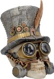 Nemesis Now Beeld/figuur Count Archibald Schedel Multicolours - 20cm