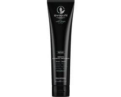Paul Mitchell Awapuhi Wild Ginger Keratin Intensive Treatment - 150 ml - Zwart