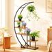 Dandibo étagère à plantes étagère à fleurs d'intérieur 170 cm de haut métal noir semi-circulaire 96699 Échelle à fleurs grande ronde support de plantes