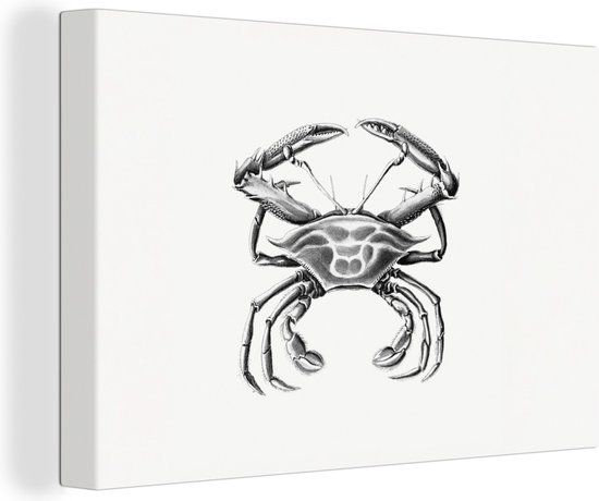OneMillionCanvasses Canvas Print - Ernst Haeckel - Crab - Sea - Animals - Black and White - Wall Decoration - 140x90 cm