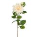 Mica Decorations Kunstbloem Dahlia Artistic - H74 cm - creme wit