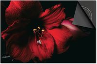 Dietrix Inductie Beschermer - 65x52cm - Bloemen en Planten - Orchidee rood