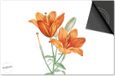 Dietrix Inductie beschermer 60x52 - Botanical - Oranje tulp