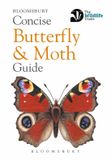 Concise Bloomsbury Concise Butterfly and Moth Guide