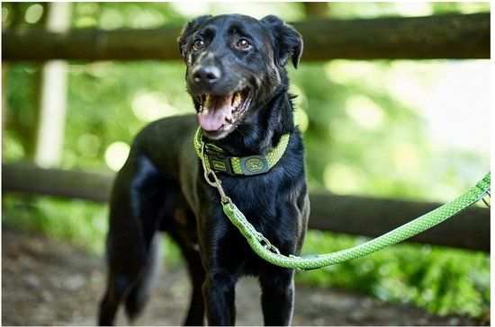 Hunter HILO Hondenriem - Limoen - 200 cm - Kunststof