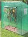 Siena Westfalia Greenhouse tomaten large 200 x 167 x 77 cm