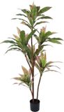 BigBuy Home Plant, standaard 160 cm Dracaena Groen