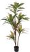 BigBuy Home Plant, standaard 160 cm Dracaena Groen