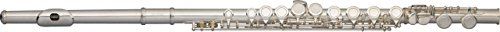 Stagg WS-FL111 E-fluit met etui