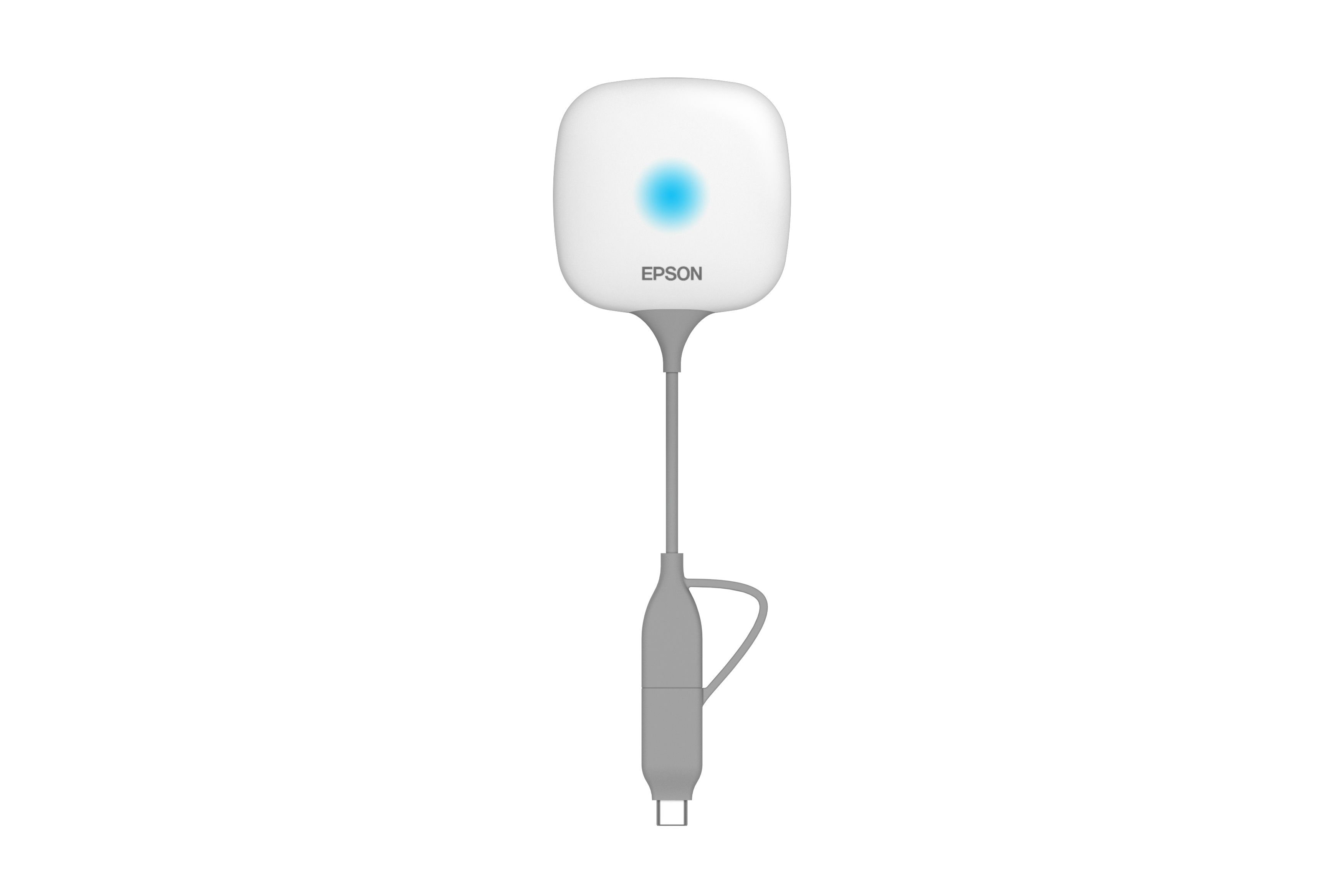 Epson ELPWP10 - Wireless Presentation System - Wit