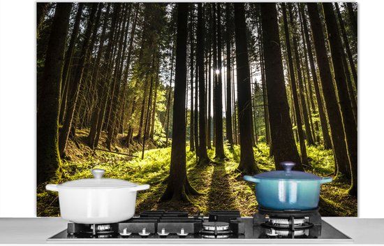 KitchenYeah Spatscherm keuken 120x80 cm - Kookplaat achterwand Boom - Natuur - Zon - Bos - Muurbeschermer - Spatwand fornuis - Hoogwaardig aluminium