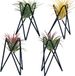 Besimple support pour plantes aériennes 4-pack base Tillandsia