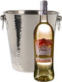 Excellent Houseware Champagne & Wijnfles Koeler/IJsemmer - Zilver - RVS - 18 x 20 cm