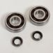 RSM proconcept 2 roues (p2r) polyamide lager- en krukaskeerringkit voor bromfiets mbk 51 club
