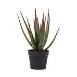RED DECO Kunstmatige plant, aloë pot, H81 cm