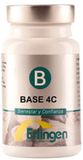 Erlingen Base 4c 60 Comp