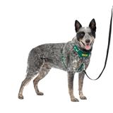 PetSafe Easy Walk Comfort Anti-trek hondentuigje, full-body padding - betere wandelingen bij het eerste gebruik - 5 aanpassingspunten medium/groot, groen