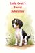 Little Libri GmbH Little Orsie's Forest Adventure Paperback