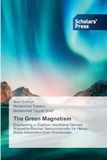 The Green Magnetism: Engineering a Ziziphus mauritiana-Derived Magnetite/Biochar Nanocomposite for Heavy Metal Adsorption from Wastewater