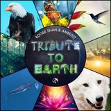 Black Hole Recordings B.V Blackhole Tribute to Earth