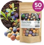 MRS Seeds & Mixtures MR Seeds Flower Bombs Zaadbommetjes 50 stuks